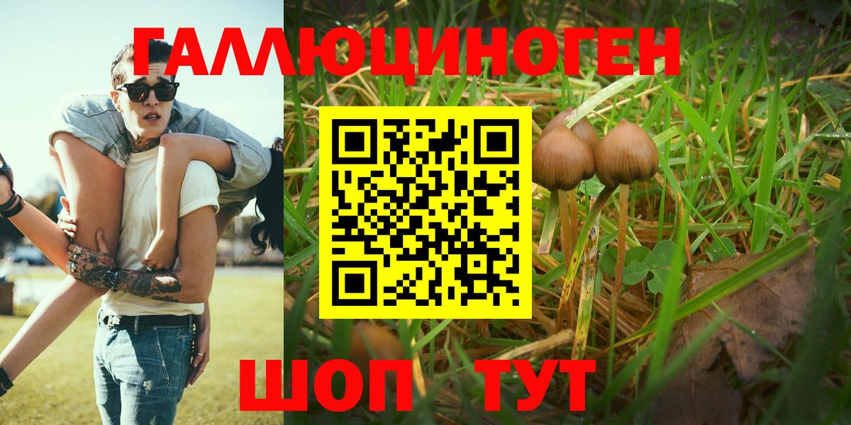 Псилоцибиновые грибы Psilocybe Красноперекопск