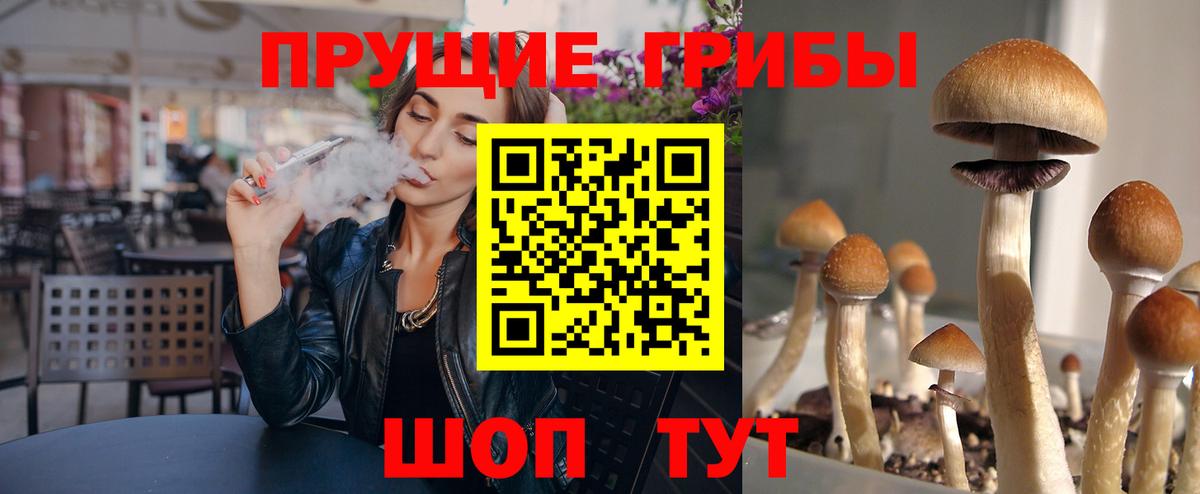 Красноперекопск  Псилоцибиновые грибы мухоморы  Вход с VPN 